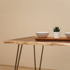 Modern Live Edge Walnut Wood Coffee Table with Gold Metal Legs