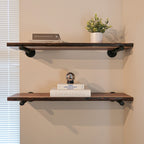 Wall Live Edge Walnut Shelves with Pipe Brackets