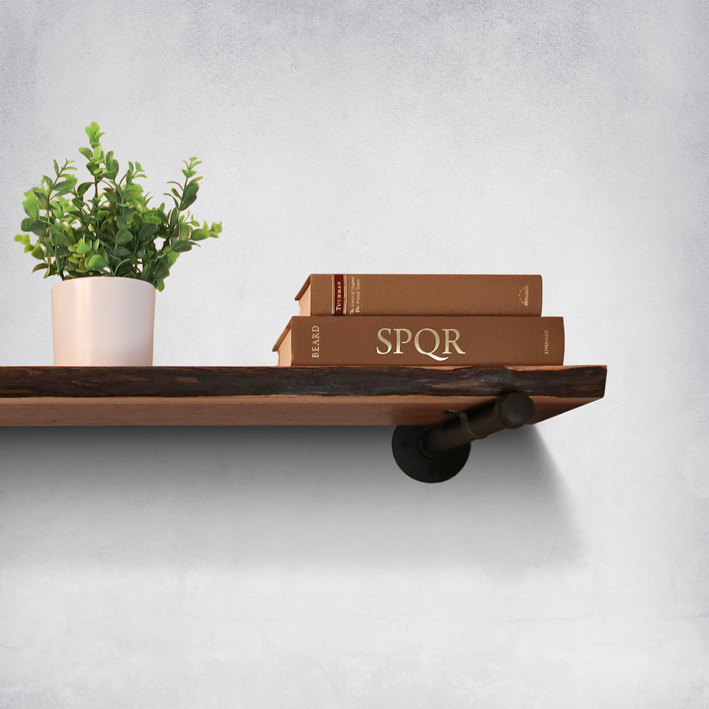 Wood Live Edge Walnut Shelf with Pipe Brackets with Books
